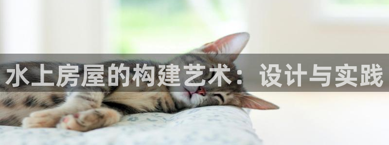 安信12注册咋7O777：水上房屋的构建艺术：设计与实践