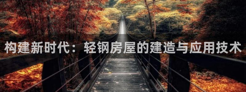安信证券手机壳12：构建新时代：轻钢房屋的建造与应用技术