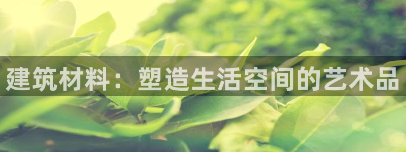 信安杯12：建筑材料：塑造生活空间的艺术品