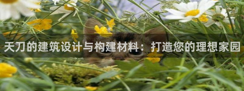 安信312 12：天刀的建筑设计与构建材料：打造您的理想家园