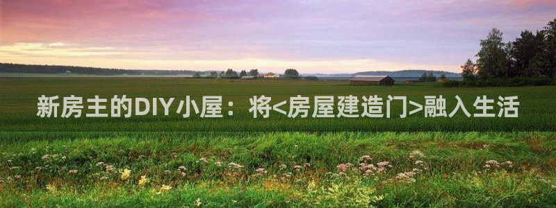 安信卓越12月：新房主的DIY小屋：将<房屋建造门>融入生活