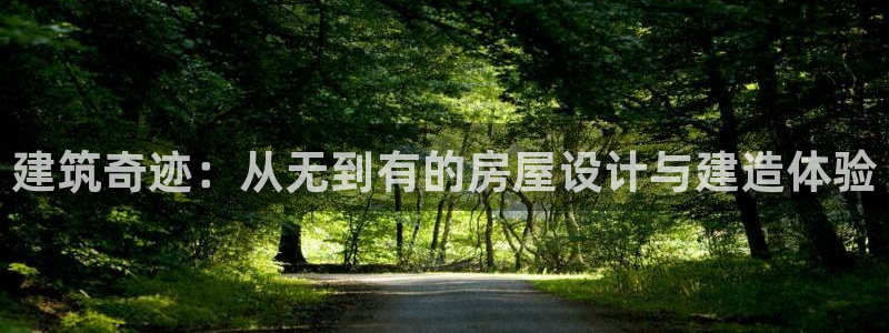 安信12是什么平台：建筑奇迹：从无到有的房屋设计与建造体验