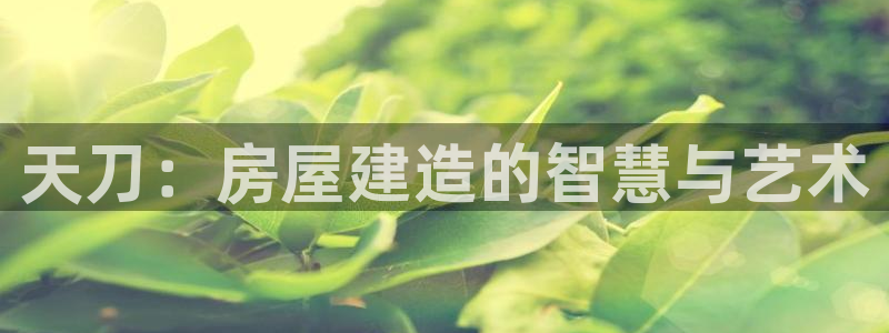 安信12娱乐平台：天刀：房屋建造的智慧与艺术
