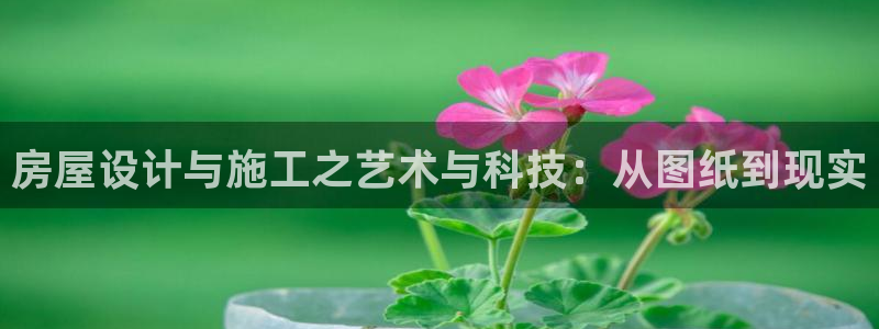 安信12平台注册：房屋设计与施工之艺术与科技：从图纸到现实