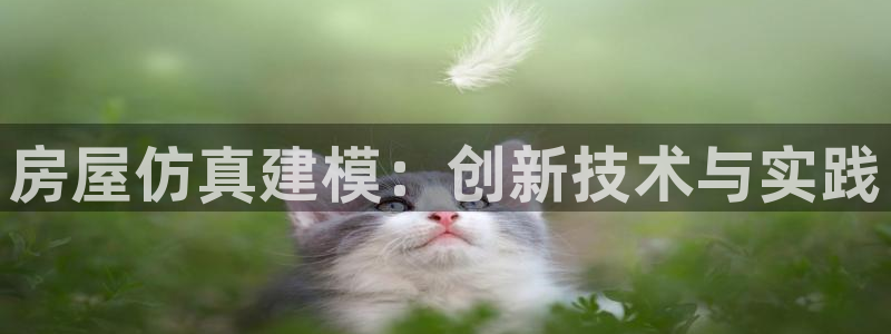 信安12