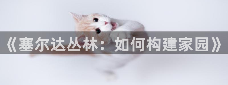 安信地板12mm：《塞尔达丛林：如何构建家园》