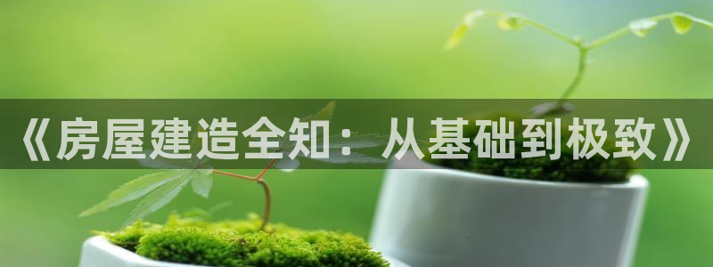 安信12app：《房屋建造全知：从基础到极致》