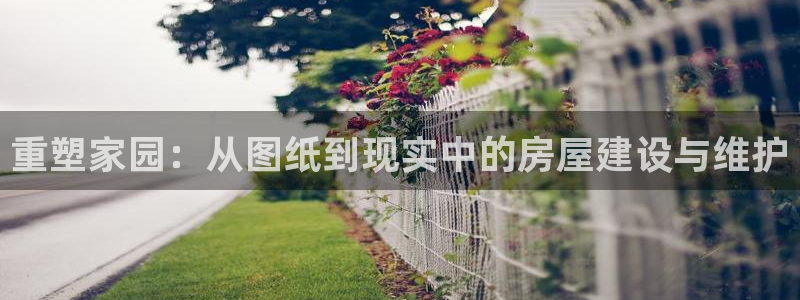 安信可12f12e：重塑家园：从图纸到现实中的房屋建设与维护