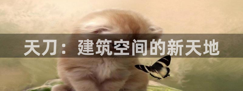 安信cwa12：天刀：建筑空间的新天地